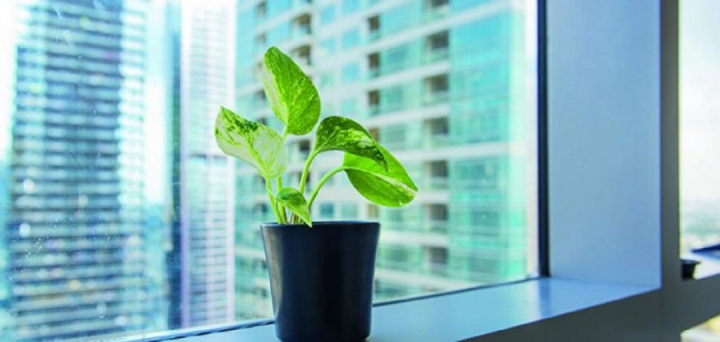 Causes and Factors That Affect Indoor Air Quality